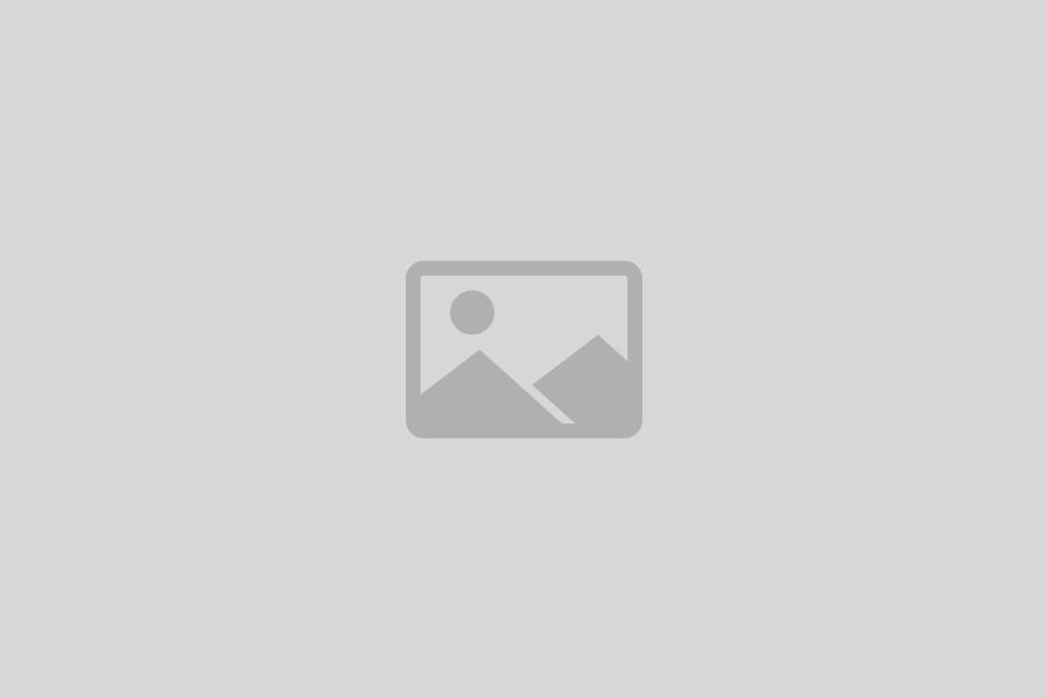 WordPress PDF嵌入浏览器插件